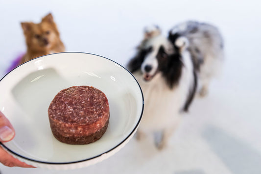 Raw Dog Food (10lbs)
