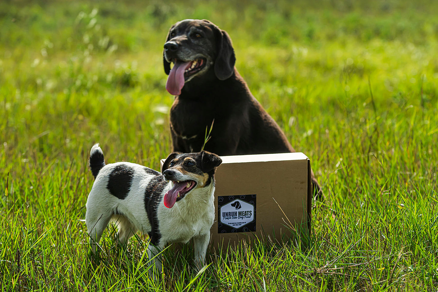 Raw Dog Food (10lbs)