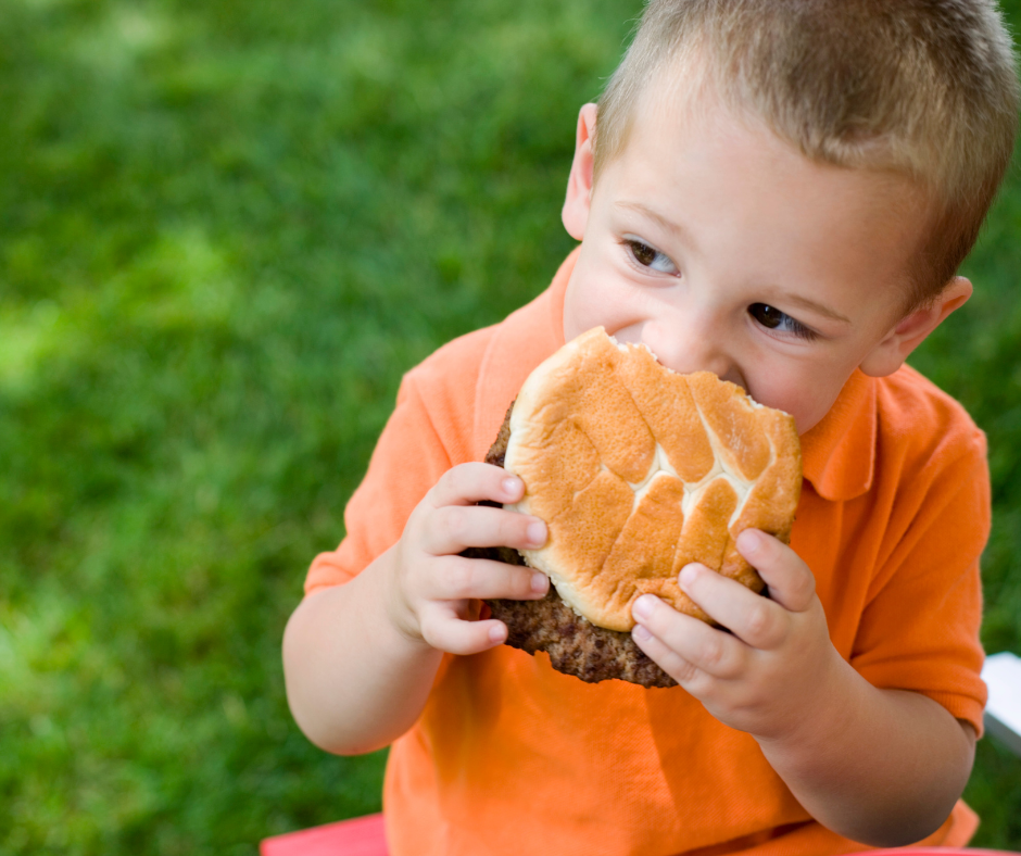 Hamburger Patty Box (30 burgers/box)